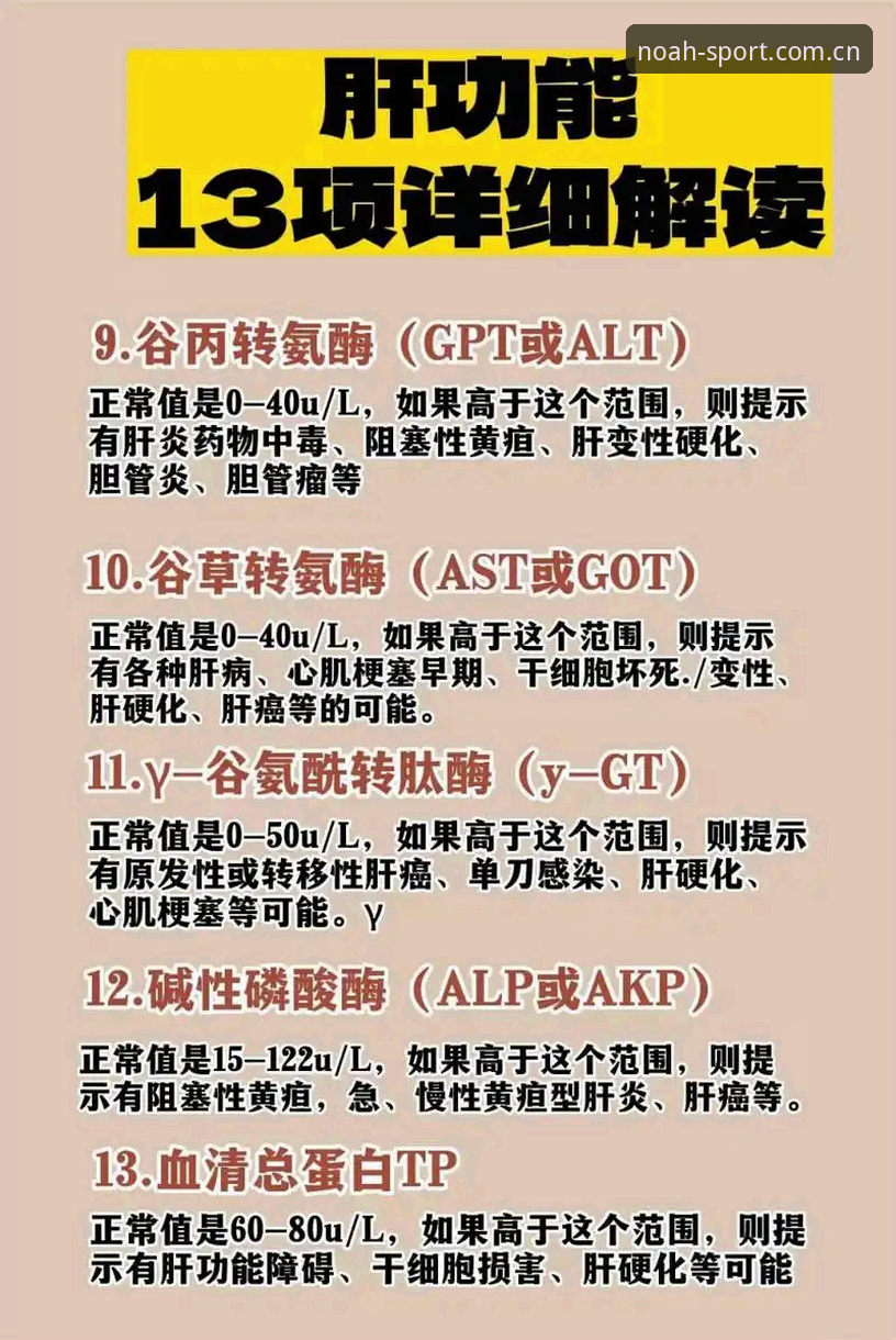 揭秘诺亚体育平台：老用户亲测体验报告，这些功能你可能还不知道